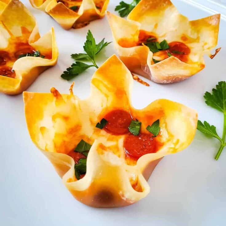 Pizza Wonton Cups Set 2 3 edited.jpg