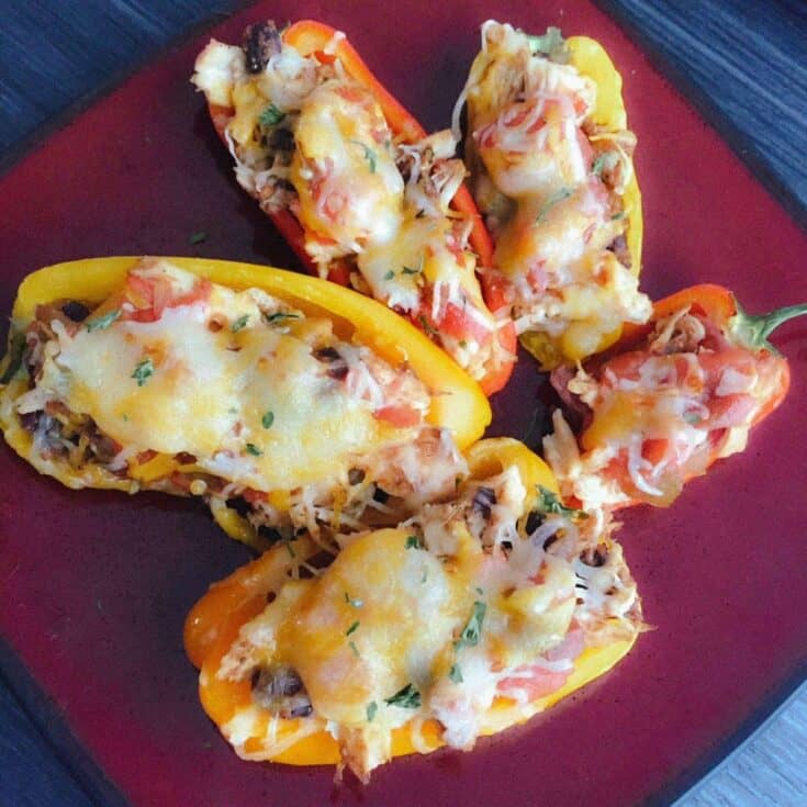 Salsa Chicken Mini Peppers 5.jpg
